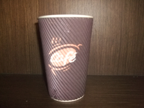 16安纹条隔热双层杯